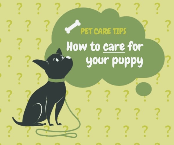 Lovely Pet Care Tips