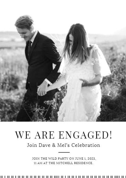 Engagement Party Romantic Celebration