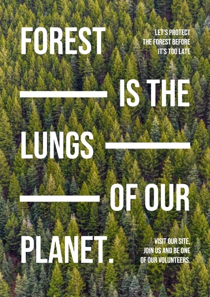 Simple Forest Care