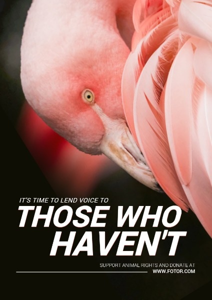 Animals' Right