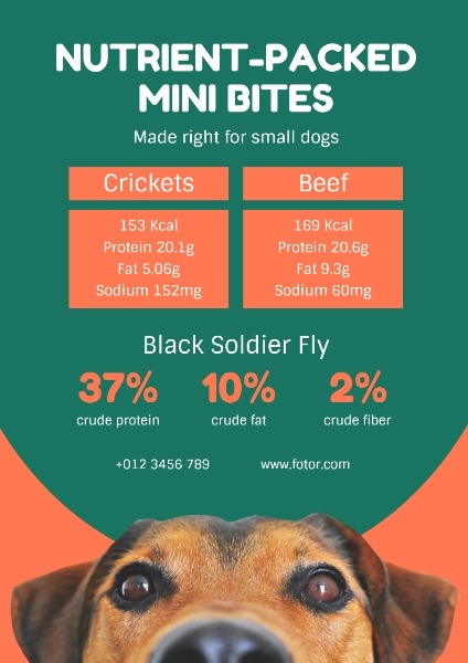 Green And Orange Pet Food Sale 