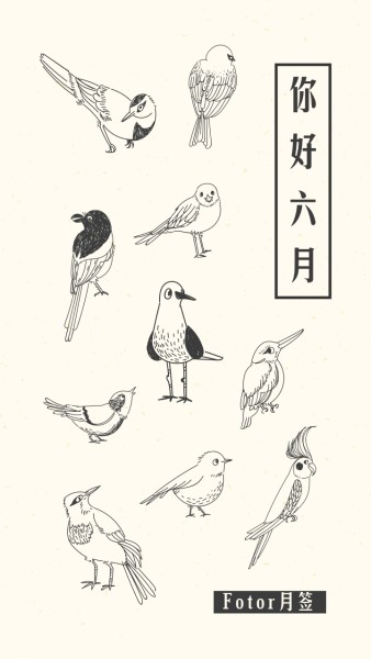 小鸟文艺插画六月份月签