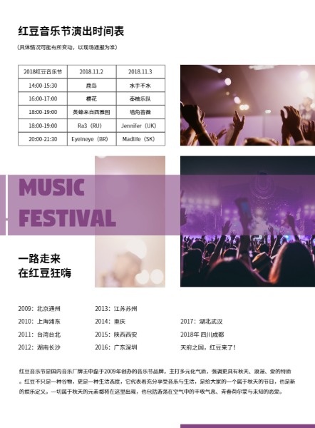 天府音乐节演唱会DM宣传单(A4)