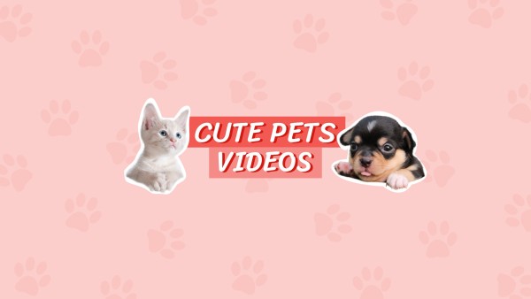 可爱的宠物视频横幅Youtube频道封面