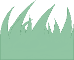 装饰装饰元素植物绿植草