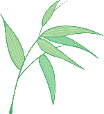装饰装饰元素卡通绿植竹子