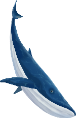 海底蓝色装饰装饰元素鲸鱼