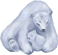 北极熊熊动物白熊小熊