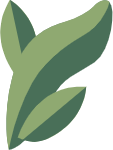 叶子树叶植物装饰装饰元素