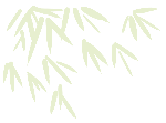 绿竹叶叶子装饰装饰元素