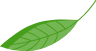 卡通绿色装饰装饰元素叶子