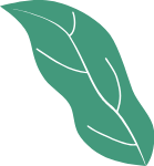 叶片植物卡通装饰绿色