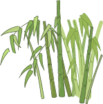 竹子竹植物装饰自然