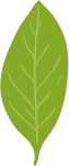 绿植装饰元素森林绿色叶子