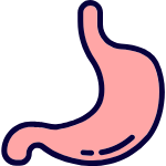 胃部胃人体器官卡通装饰