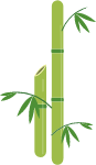 竹子绿竹植物绿植装饰