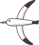 海鸥动物卡通装饰装饰元素