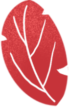 叶子红叶树叶装饰元素植物