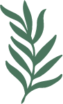 植物叶子装饰绿色绿叶