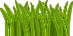 装饰元素草丛小草植物卡通