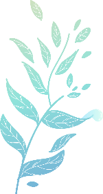 蓝绿叶子植物自然装饰