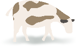 奶牛牛动物生物装饰