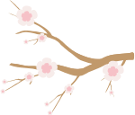自然枝条树枝花朵装饰