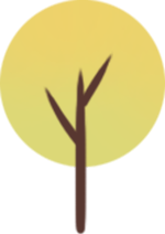 黄色树木树植物自然