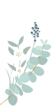 植物卡通装饰花草叶子