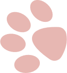 爪印猫爪印子卡通粉色