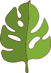 叶子植物手绘棕色绿叶