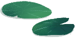荷叶叶子植物绿植装饰元素