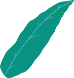 绿叶装饰手绘卡通植物