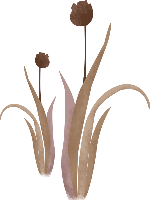 草花朵装饰元素卡通浅棕色