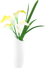 花花朵花卉植物花瓶