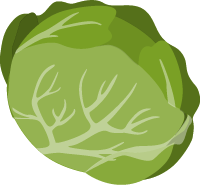 白菜卷心菜cabbage蔬菜null