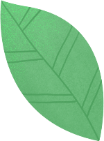 树叶绿叶叶子植物绿植