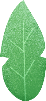 植物绿色装饰装饰元素树叶