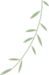卡通绿色植物柳叶装饰