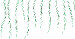 绿色装饰元素柳树柳枝树