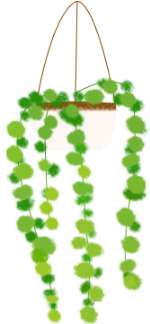 吊兰植物绿植装饰装饰元素