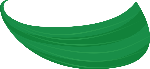粽叶植物装饰装饰元素绿植