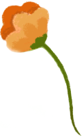 植物装饰元素装饰手绘橘色
