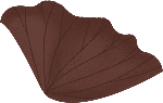 棕色植物荷叶装饰装饰元素