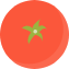 西红柿番茄蔬菜水果装饰