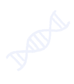 基因dna染色体基因链生物