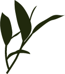 植物树叶手绘卡通绿色