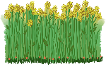 花草植物装饰元素绿化绿色
