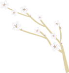 白色装饰植物树木梅花