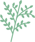 植物装饰装饰元素卡通树枝
